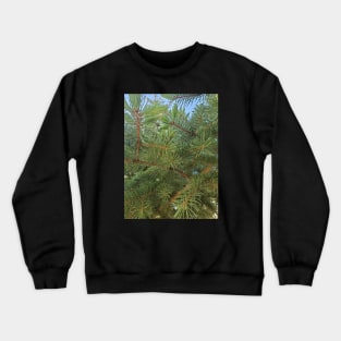 Pine Needles Crewneck Sweatshirt